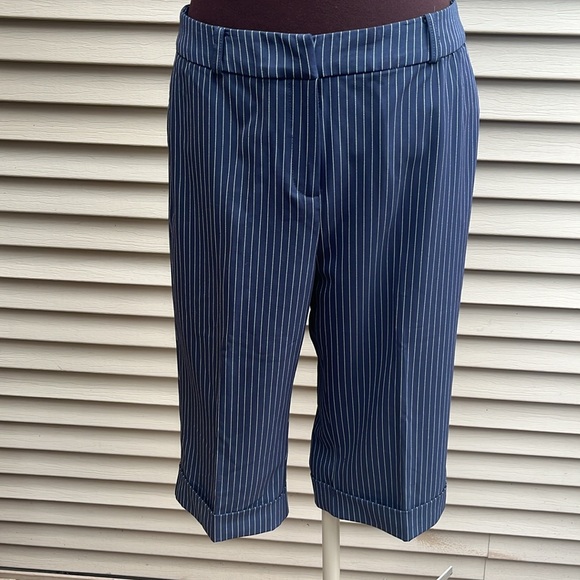 EUC striped bermuda shorts size 8 - Picture 5 of 10